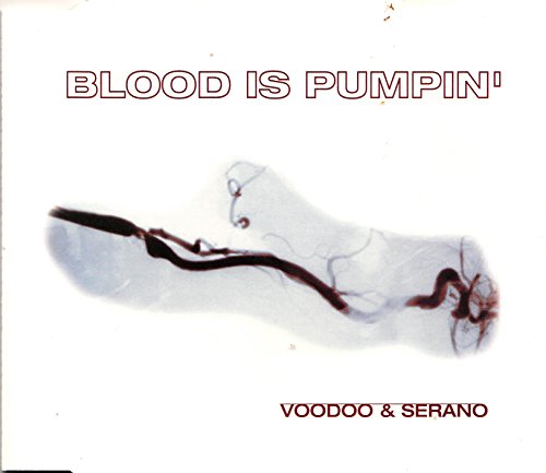 Voodoo & Serano - Blood is pumpin' (Maxi)