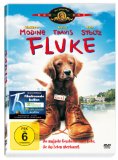 DVD - Ein tierisches Trio - Wieder unterwegs