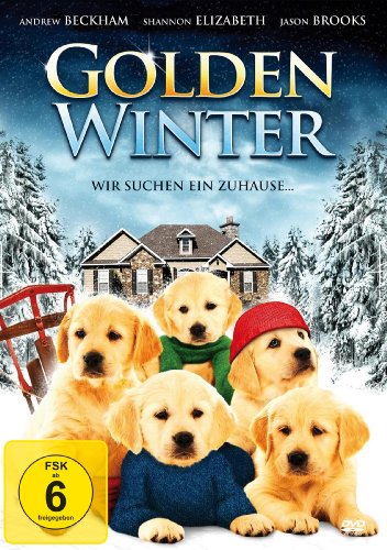  - Golden Winter - Wir suchen ein Zuhause