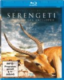  - Die Königin der Löwen [Blu-ray]