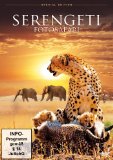  - Serengeti - Circle of Life