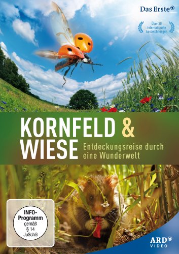  - Kornfeld und Wiese - Entdeckungsreise durch eine Wunderwelt