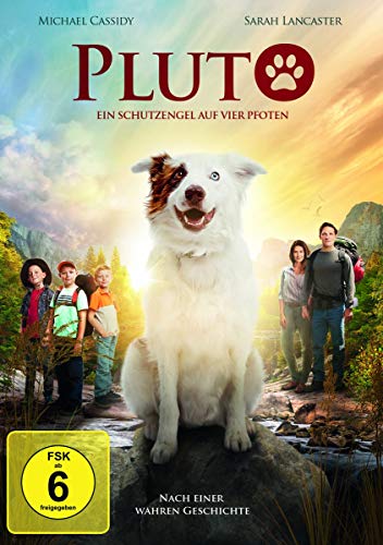 DVD - Pluto - Ein Schutzengel auf Pfoten