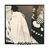 Lambchop - Nixon (Vinyl)