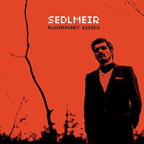 Sedlmeir - Fluchtpunkt Risiko