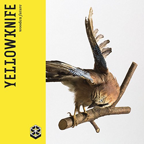 Yellowknife - Wooden Future