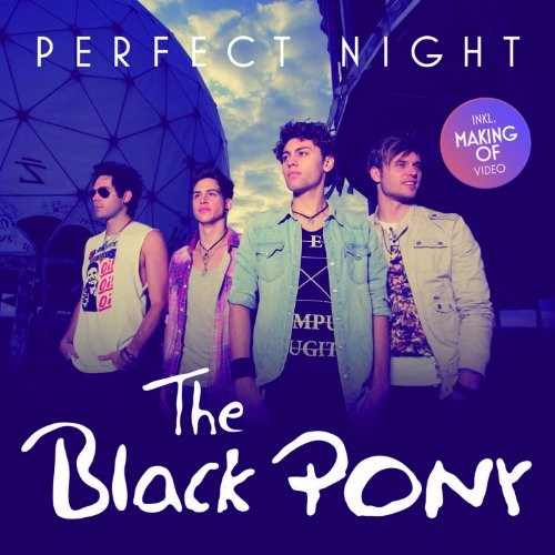 the Black Pony - Perfect Night (2 Track)