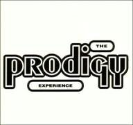 the Prodigy - Experience