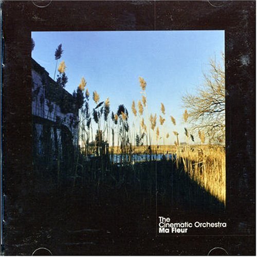 Cinematic Orchestra , The - Ma fleur