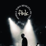 Fink - Meets the Royal Concertgebouw Orchestra