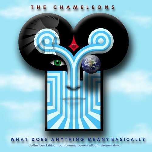 Chameleons UK - What Does Anything Mean  Basic