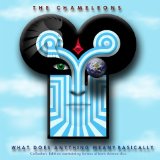 Chameleons - John Peel Sessions