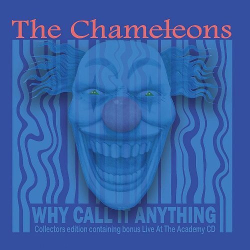 Chameleons - Why Call It Anything