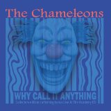 Chameleons - Dreams in Celluloid