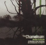 Chameleons - John Peel Sessions