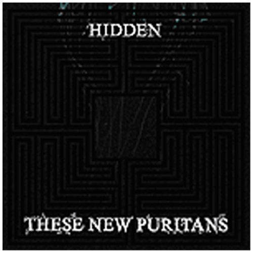 These New Puritans - Hidden