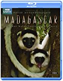 Various - Rough Guide: Madagascar