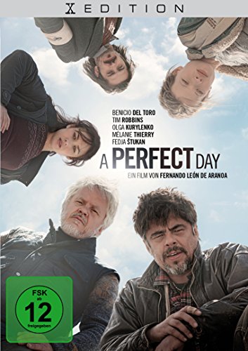 DVD - A Perfect Day