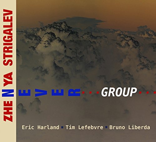 Zhenya Strigalev - Never Group