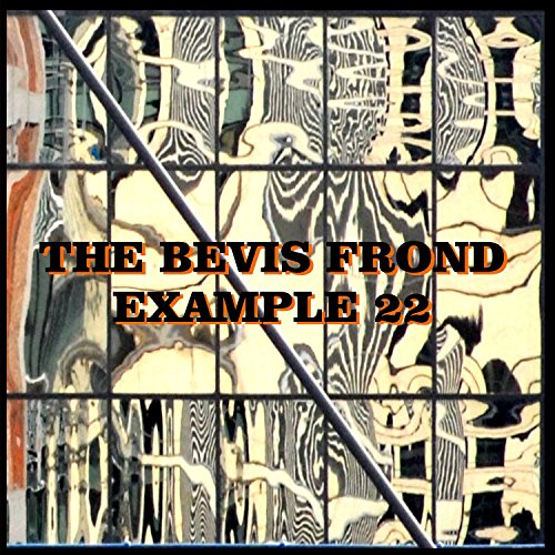 Bevis Frond - Example 22