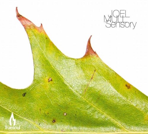 Joel Mull - Sensory