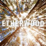 Hospital Records Pres. - Hospital Mixtape: Etherwood