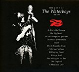 the Waterboys - This Is the Sea (Collector'S Edition)