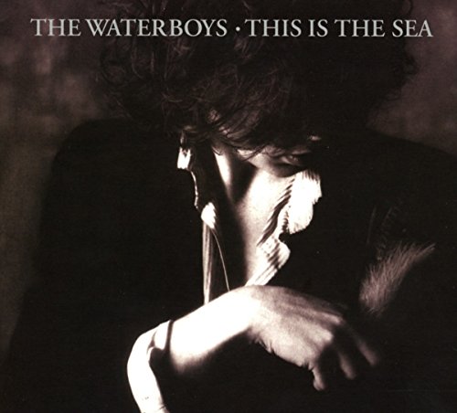 the Waterboys - This Is the Sea (Collector'S Edition)