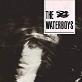 the Waterboys - Fisherman'S Blues