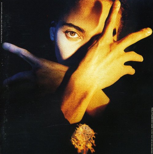 D'Arby , Terence Trent - Neither fish nor flesh