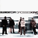 Blumentopf - Kein zufall