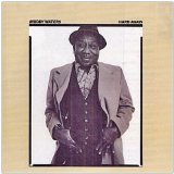 Muddy Waters - The Folk Singer