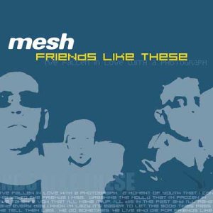 Mesh - Friends Like These