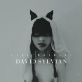 David Sylvian - Died in the Wool (Manafon Variations)