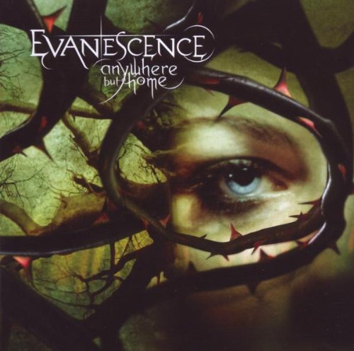 Evanescence - Anywhere But Home (DVD+CD)