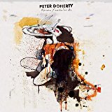 Doherty , Peter - Hamburg Demonstrations (Vinyl)