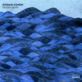 Avishai Cohen Trio - Gently Disturbed