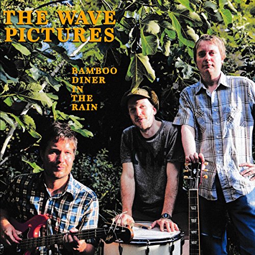 The Wave Pictures - Bamboo Diner In The Rain (LP+MP3) [Vinyl LP]