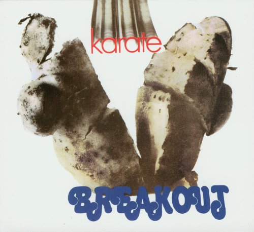 Breakout - Karate