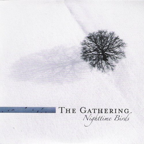 the Gathering - Nighttime Birds [Vinyl LP]