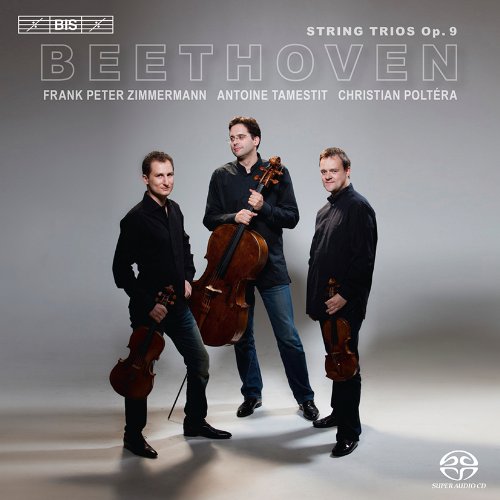 Trio Zimmermann - Streichtrios Op.9