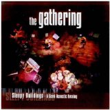 the Gathering - Nighttime Birds [Vinyl LP]