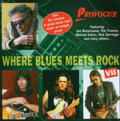 Various - Where Blues Meets Rock Vol.7