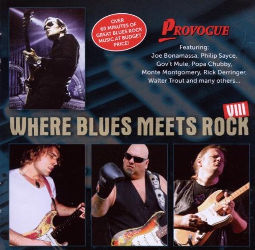 Various - Where Blues Meets Rock Vol.8