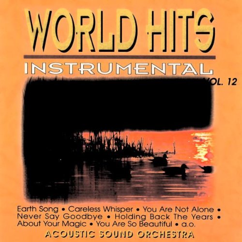 Sampler - World Hits - Instrumental 12