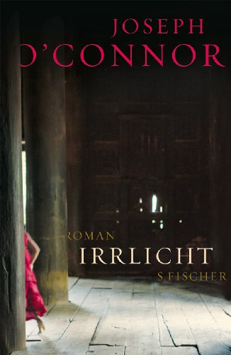  - Irrlicht: Roman