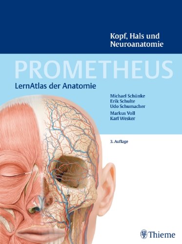  - PROMETHEUS Kopf, Hals und Neuroanatomie: LernAtlas Anatomie