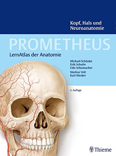  - Kopf, Hals und Neuroanatomie (Prometheus: LernAtlas der Anatomie)