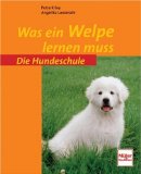  - Bichon-Rassen: Premium-Ratgeber. Malteser, Havaneser, Bichon Frisé, Bologneser, Löwchen, Bolonka zwetna, Coton de Tuléar