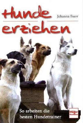  - Hunde erziehen: So arbeiten die besten Hundetrainer